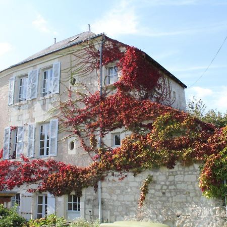 Gite Au Calme Avec Jardin Et Wifi A La Roche-Posay - Fr-1-541-52别墅 外观 照片